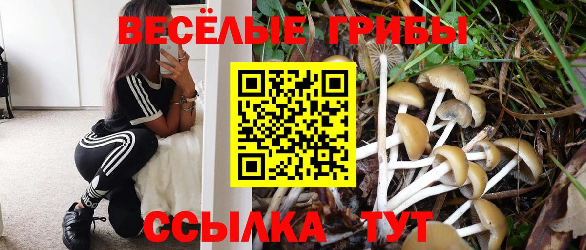 Псилоцибиновые грибы прущие грибы Владивосток