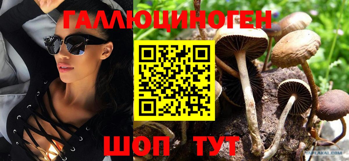 Владивосток  Псилоцибиновые грибы MAGIC MUSHROOMS  Вход с VPN  Галлюциногенные грибы прущие грибы 